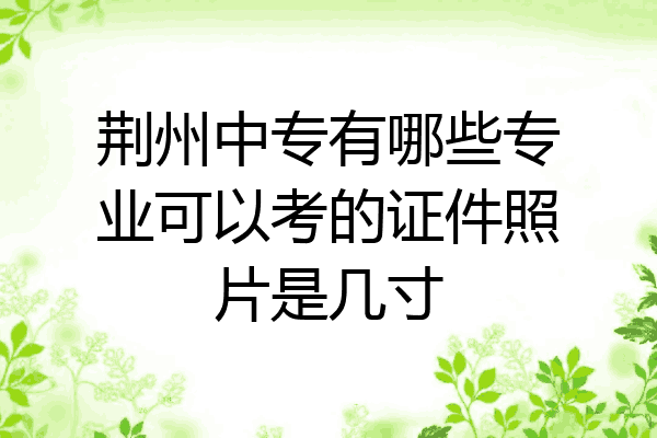 荆州中专有哪些专业可以考的证件照片是几寸