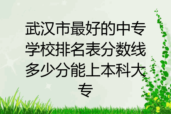 武汉市最好的中专学校排名表分数线多少分能上本科大专