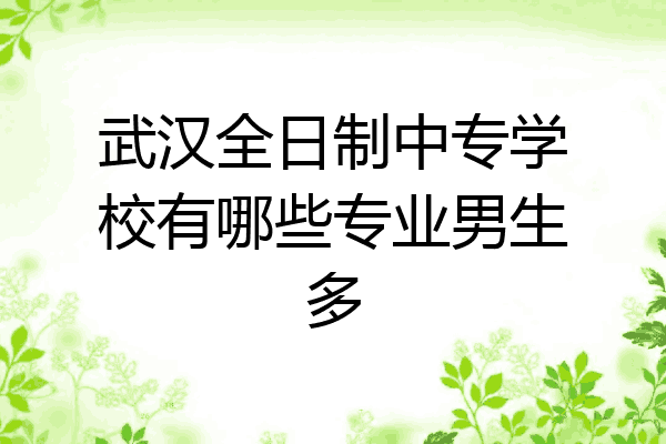 武汉全日制中专学校有哪些专业男生多