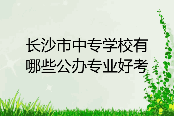 长沙市中专学校有哪些公办专业好考