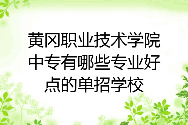黄冈职业技术学院中专有哪些专业好点的单招学校