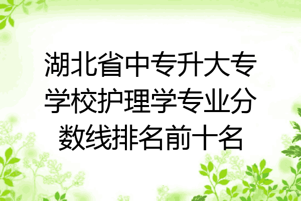 湖北省中专升大专学校护理学专业分数线排名前十名