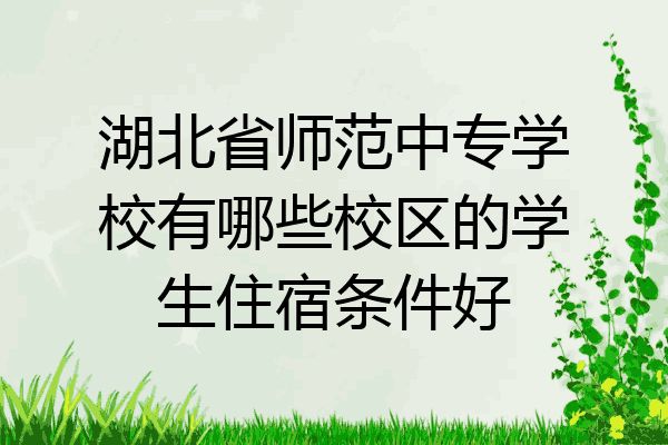 湖北省师范中专学校有哪些校区的学生住宿条件好