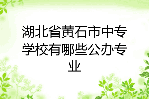 湖北省黄石市中专学校有哪些公办专业