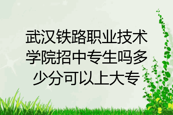 武汉铁路职业技术学院招中专生吗多少分可以上大专