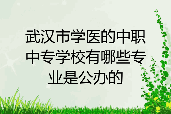 武汉市学医的中职中专学校有哪些专业是公办的