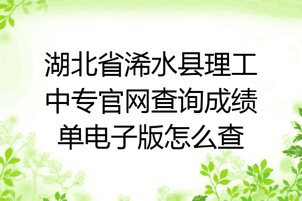 湖北省浠水县理工中专官网查询成绩单电子版怎么查
