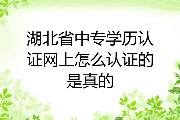 湖北省中专学历认证网上怎么认证的是真的