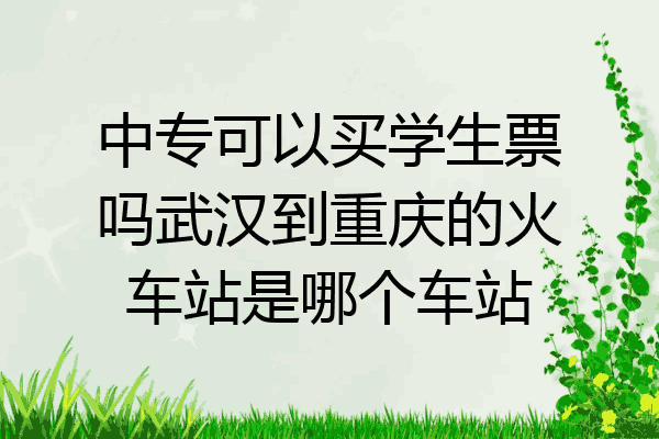 中专可以买学生票吗武汉到重庆的火车站是哪个车站