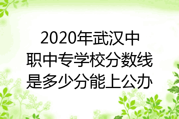 2020年武汉中职中专学校分数线是多少分能上公办