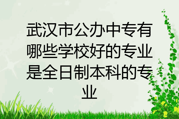 武汉市公办中专有哪些学校好的专业是全日制本科的专业