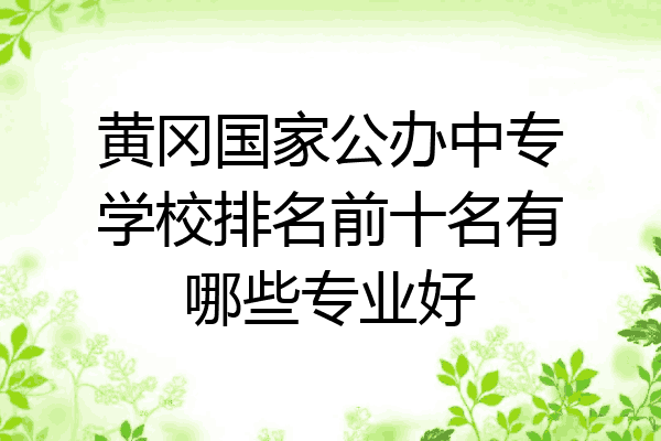 黄冈国家公办中专学校排名前十名有哪些专业好