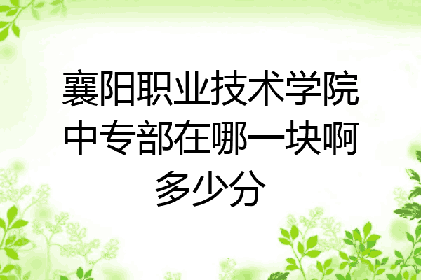 襄阳职业技术学院中专部在哪一块啊多少分