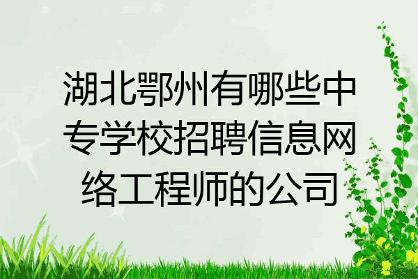 湖北鄂州有哪些中专学校招聘信息网络工程师的公司