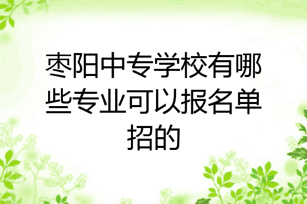 枣阳中专学校有哪些专业可以报名单招的