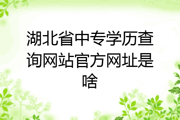 湖北省中专学历查询网站官方网址是啥