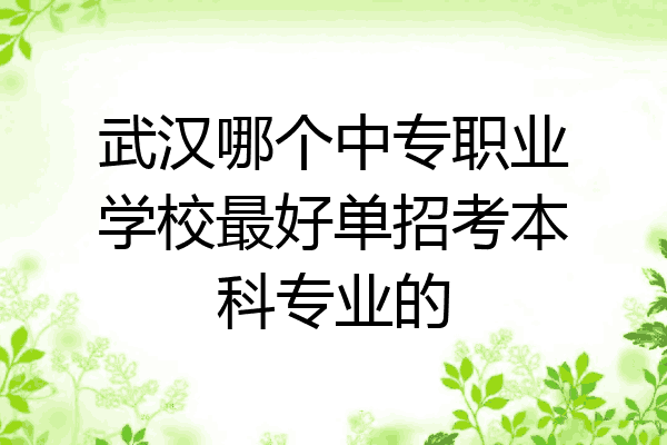 武汉哪个中专职业学校最好单招考本科专业的