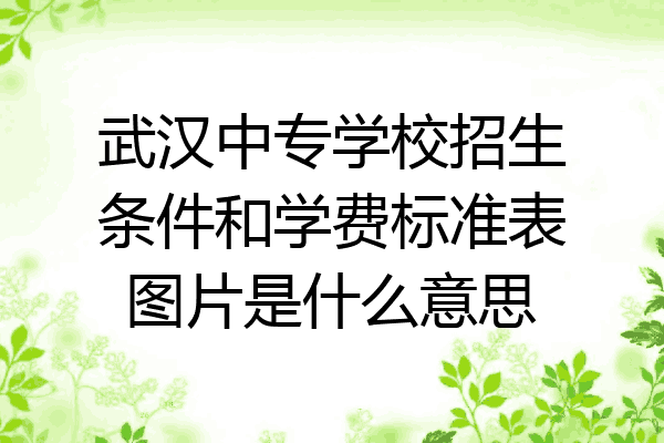 武汉中专学校招生条件和学费标准表图片是什么意思
