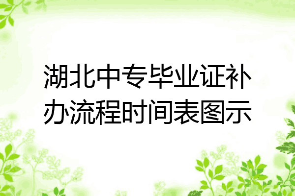 湖北中专毕业证补办流程时间表图示