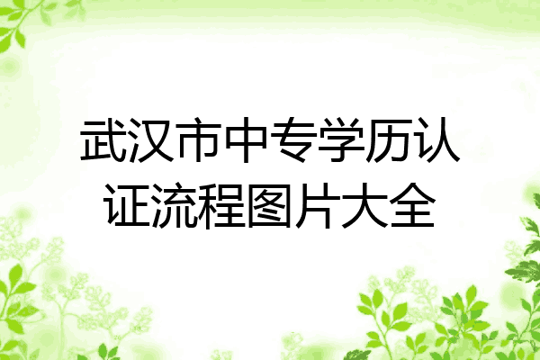 武汉市中专学历认证流程图片大全