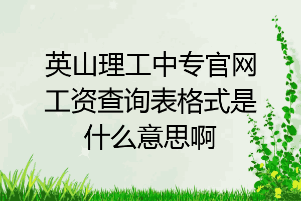 英山理工中专官网工资查询表格式是什么意思啊