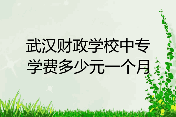 武汉财政学校中专学费多少元一个月