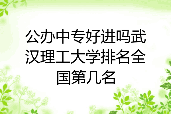 公办中专好进吗武汉理工大学排名全国第几名