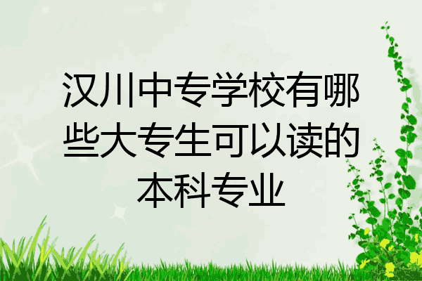 汉川中专学校有哪些大专生可以读的本科专业