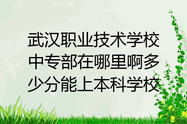 武汉职业技术学校中专部在哪里啊多少分能上本科学校