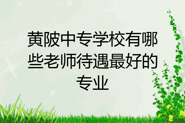 黄陂中专学校有哪些老师待遇最好的专业