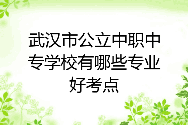 武汉市公立中职中专学校有哪些专业好考点