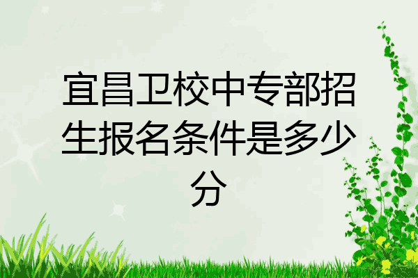 宜昌卫校中专部招生报名条件是多少分