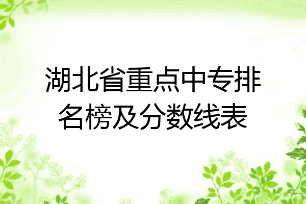 湖北省重点中专排名榜及分数线表