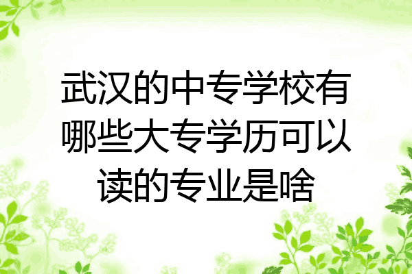 武汉的中专学校有哪些大专学历可以读的专业是啥