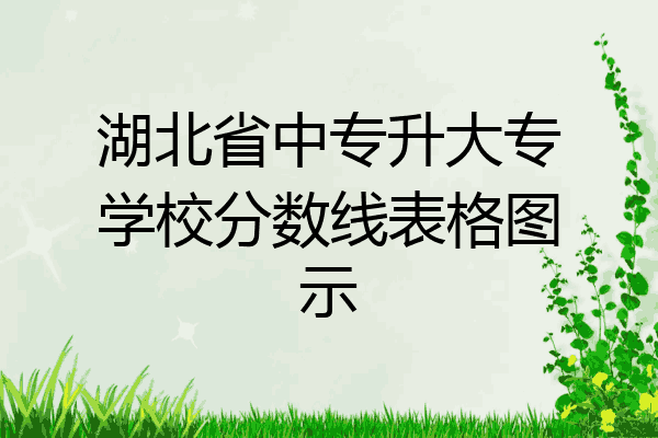 湖北省中专升大专学校分数线表格图示