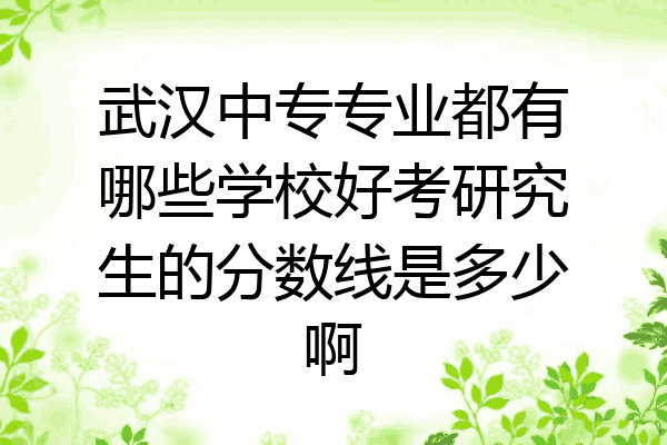 武汉中专专业都有哪些学校好考研究生的分数线是多少啊
