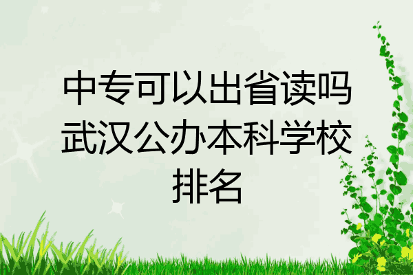 中专可以出省读吗武汉公办本科学校排名