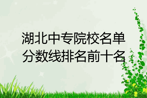 湖北中专院校名单分数线排名前十名