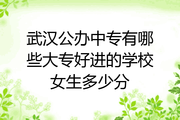 武汉公办中专有哪些大专好进的学校女生多少分