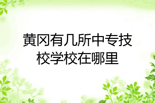 黄冈有几所中专技校学校在哪里