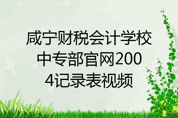 咸宁财税会计学校中专部官网2004记录表视频