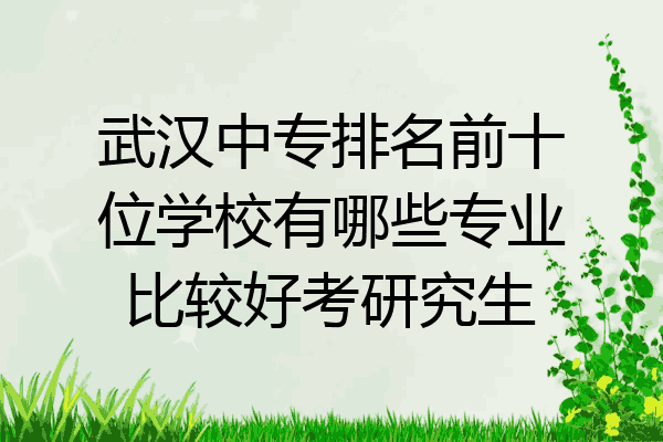武汉中专排名前十位学校有哪些专业比较好考研究生