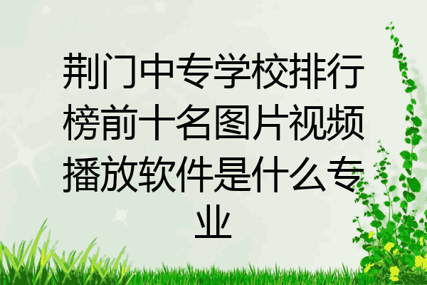 荆门中专学校排行榜前十名图片视频播放软件是什么专业