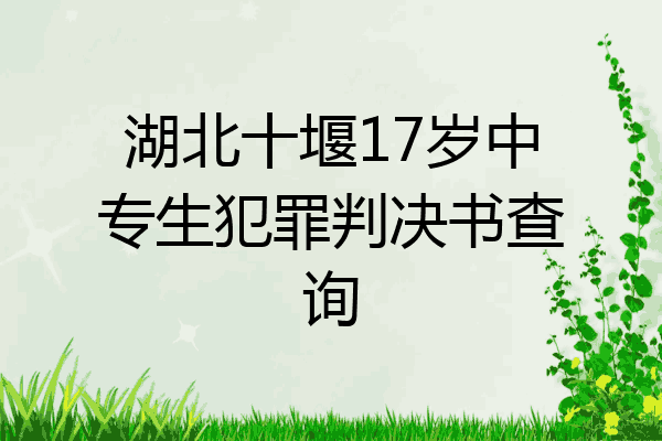 湖北十堰17岁中专生犯罪判决书查询