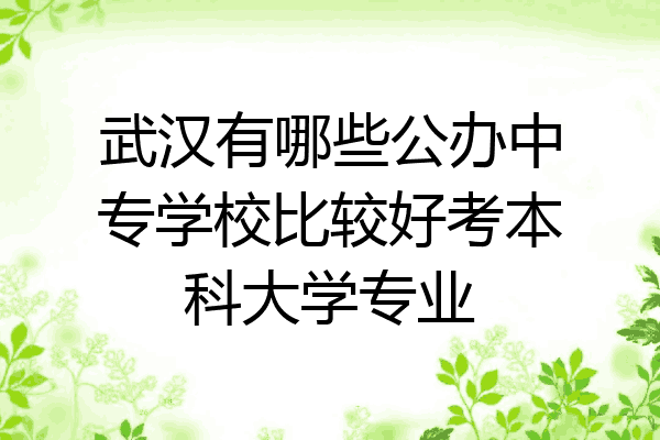 武汉有哪些公办中专学校比较好考本科大学专业