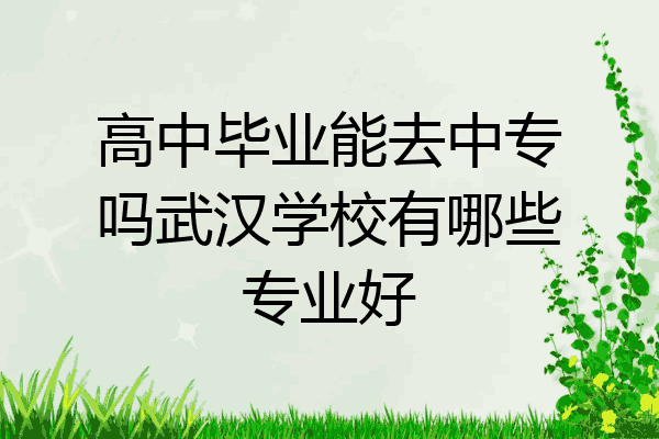 高中毕业能去中专吗武汉学校有哪些专业好