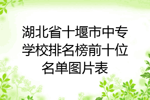 湖北省十堰市中专学校排名榜前十位名单图片表