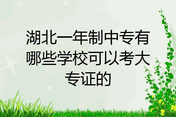湖北一年制中专有哪些学校可以考大专证的