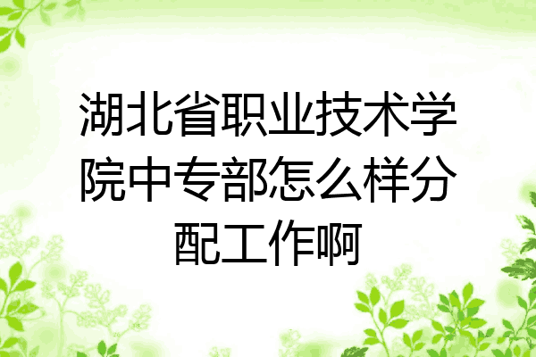 湖北省职业技术学院中专部怎么样分配工作啊