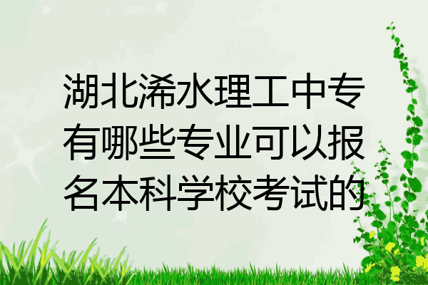 湖北浠水理工中专有哪些专业可以报名本科学校考试的
